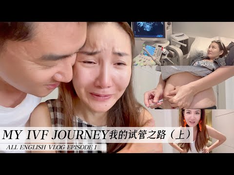 My IVF Journey Episode 1|我的试管之路(上)