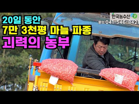[Korea Agricultural and Fisheries TV] The farmer who planted 73,000 pyeong of garlic in 20 days.