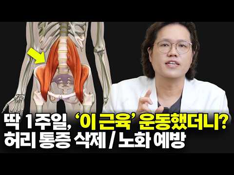 "걷기 3시간보다 효과있다" 허리 통증 사라지고 노화 예방되는 최고의 운동법