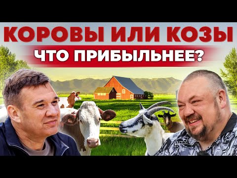 Козы или коровы | Кто приносит больше денег? Зачем в хозяйстве роботы | Андрей Даниленко