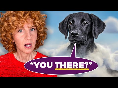 5 Powerful Messages From Pets After They Die