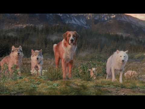 رحلة تحول كلب مدلل وشقي جدا لقائد قطيع الذئاب المفترسه في القطب الشمالي