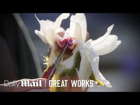 Giant Lily Pads vs Delicate Roses: Gardeners Grow Nature’s Masterpieces | Great Works | Daily Mail