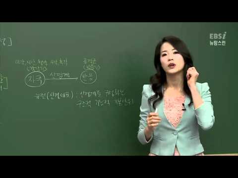 [뉴탐스런 생명과학 I] 33강 자극의 전달 (1)