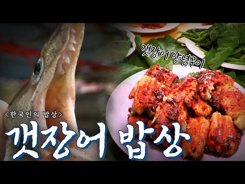 펄떡이는 바다의 힘을 먹는다 고성 '갯장어 밥상', Korean Food｜최불암의 한국인의밥상🍚 KBS 20140821