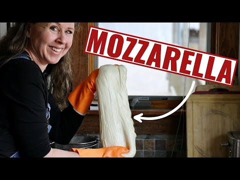 How To Make PERFECT Mozzarella In Just 30 Minutes!