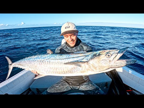 Hunting GIANT MACKEREL Catch n Cook - New Boat Life Begins
