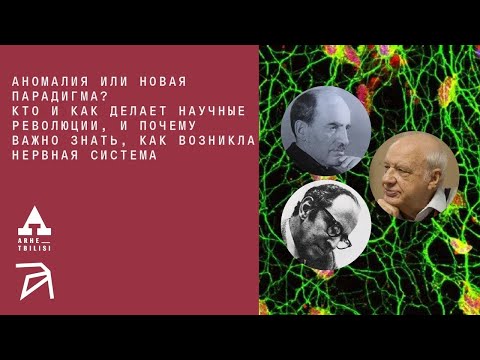 Михаил Никитин и Симха Борман: Аномалия или новая парадигма? Кто и как делает научные революции