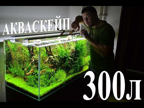 АКВАСКЕЙП ДЛЯ ЛЕНИВЫХ. 300 литров. Обслуживание и Стоимость