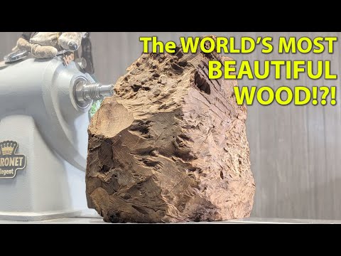 The MOST beautiful Wood in the World? – Uncovering Thuya Burl’s Hidden Secret