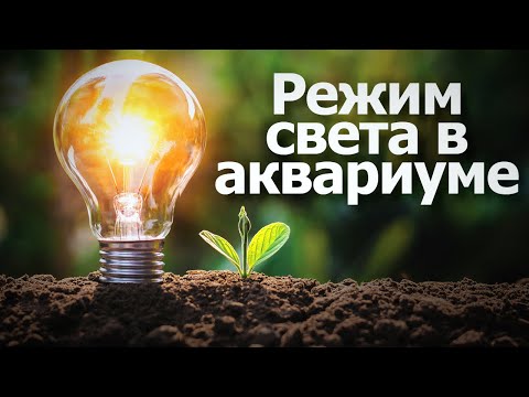 Режим освещения в аквариуме и прочее