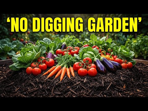 The WWII 'Lazy Garden' That Grew Food Without Any Work — And Why It Was Erased?