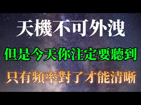 天機不可外洩，但是你今天注定要聽到這些，頻率對了才能清晰，否則都是雜音。