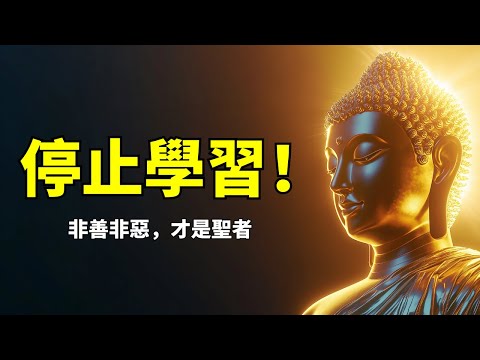 你是在追尋真理，還是在收集垃圾？為什麼大師叫你「停止學習」？| 奥修 | 蘇菲 | 蘇菲主義 | 道上的人 | 無聲的廟寺 | 追尋自我 | 問題與追尋 | 真理不可教 | 師父與老師 | 建議與教導