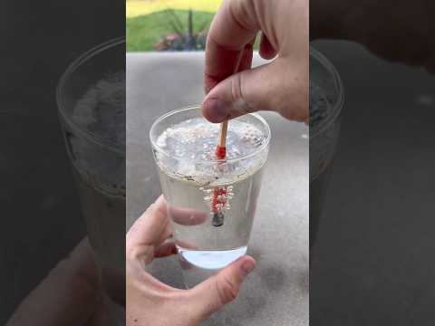 Zippo Survival Matches #survival