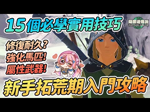 新手拓荒期入門攻略 | 15個必學實用小技巧 | 修復武器耐久 入手屬性武器 amiibo刷出什麼?【薩爾達傳說:王國之淚】
