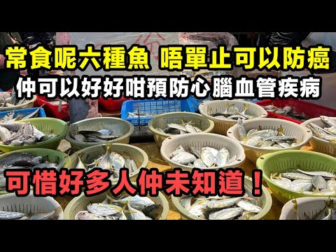 常食呢六種魚，唔單止可以防癌，仲可以好好咁預防心腦血管疾病，可惜好多人仲未知道！#健康你要知 #街市買餸攻略 #食得健康 #養生唔好中伏 #飲食要清淡 #你唔知的營養知識 #廚房智慧 #食物真相揭秘