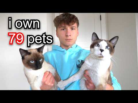 Reviewing My 79 Animals