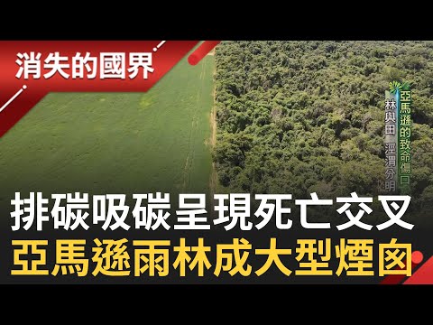 Amazon Rainforest Turns into a Giant Chimney for Greenhouse Gas Emissions