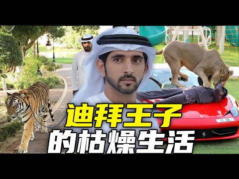 哈曼丹：杜拜最性感王儲，帥到被禁止入境！但上位竟和親哥哥死有關？丨杜拜皇室