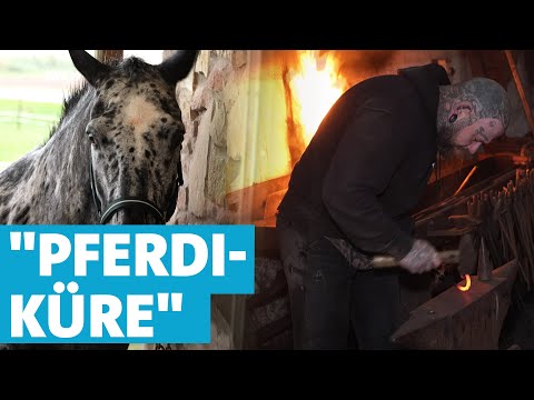 Unterwegs mit Hufschmied Markus Ax: Eine tierisch schöne Arbeit