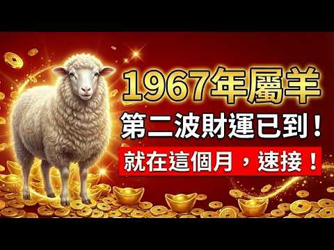 1967年的羊，今年你命中註定有兩段財！第一段已經錯過，第二段就在這個月，千萬別手軟！屬羊的必看！#1967年屬羊 #屬羊運勢 #1967年生肖羊 #生肖羊運勢 #屬羊 #生肖羊 #偏財運 #丁未羊