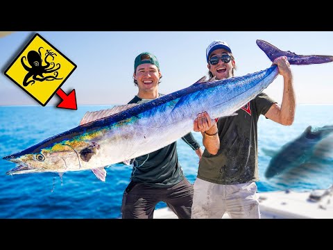 SEA MONSTER Caught In SHARK INFESTED WATER! (Can Sharks Smell Blood?)