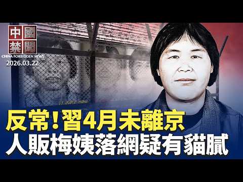 133天未離京 習反常行蹤引疑；走私尖端AI芯片設備 三華人遭起訴；警方通報人販藏20年落網 被指掩更大罪惡； 大陸青年降預期潮 對中共體制無聲判決；美國會報告：中共操控聯合國實現其野心【#中國禁聞】