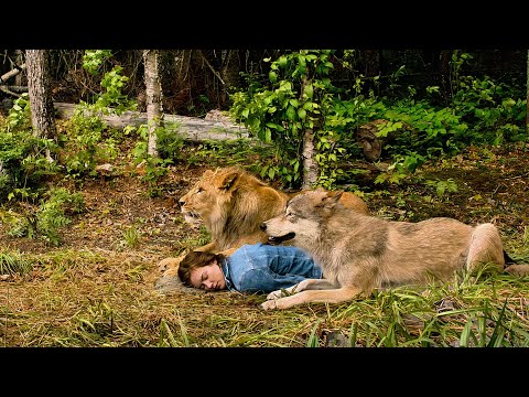 She collapsed in the forest—saved only by the wolf and lion.