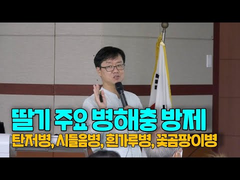 딸기 주요 병해충 방제 탄저병 시들음병 흰가루병 꽃곰팡이병 (강사 김종필)