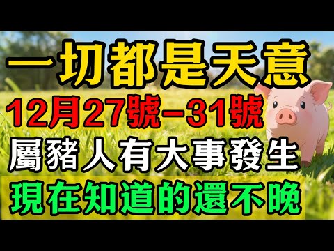 一切都是天意!屬豬人註意,12月27號-31號你有大事發生!現在知道的還不晚!#佛靈禪境#屬相運勢#生肖#家運#生肖運勢的那些事#先知#風水變化#提升運勢