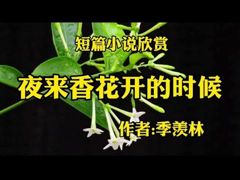 经典短篇小说欣赏《夜来香花开的时候》作者：季羡林！