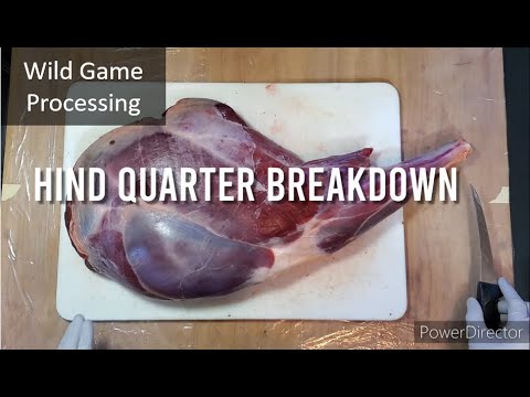 Hind Quarter Breakdown - Part 1