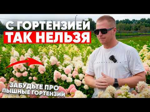 You CANNOT GROW LUSIVE HYDRANGEAS WITHOUT THIS (7 Planting and Care Mistakes)