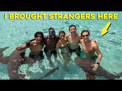 Taking STRANGERS on a DREAM TRIP...