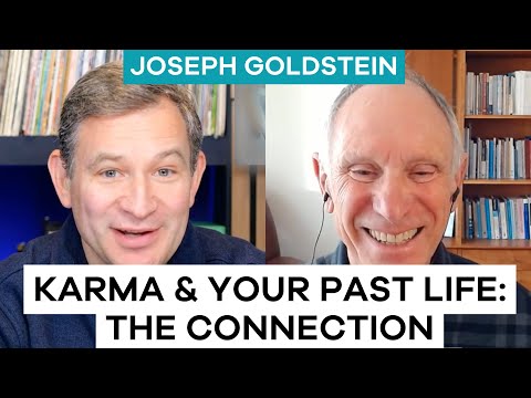 Karma and Past Life, Rebirth & Buddhism | Joseph Goldstein and Dan Harris on Ten Percent Happier