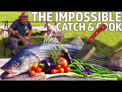 Maine Striped Bass Catch, Clean, and Cook AKA Striper!