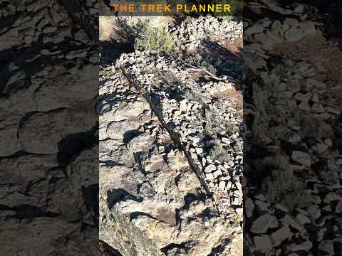 What is this straight edge I saw on #googleearth