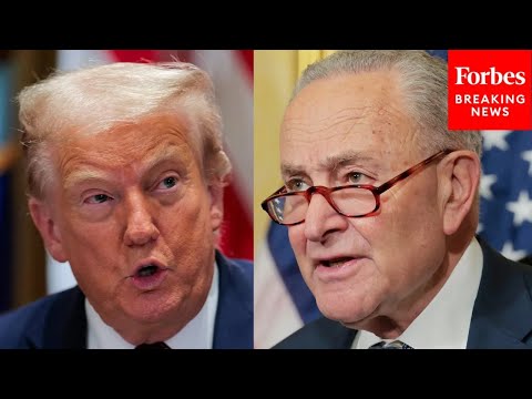 'I Don't Like Getting Into Looks...': Trump Finds New Ways To Blast Chuck Schumer | 2025 Rewind