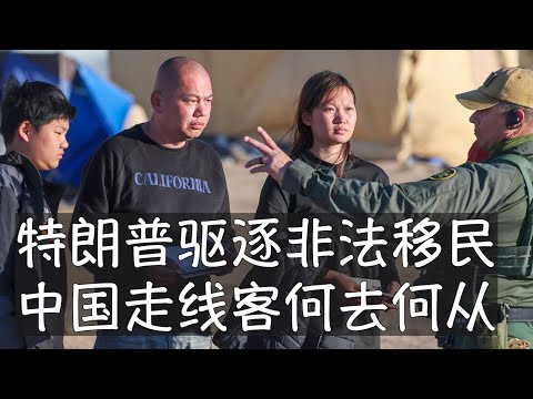 特朗普即将发动美国历史上规模最大的非法移民驱逐行动，直接影响到中国10万走线客的命运，他们是否将经历惊魂之夜？网红天哥或不用担心。盘点经济账和可能的人道主义诉求，驱逐行动方向清晰，但存在诸多变数。