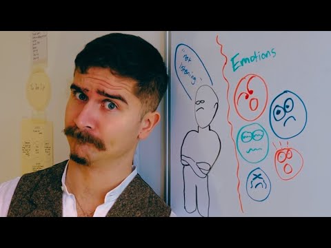 the evolutionary psychology of emotions (lecture)