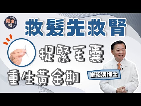 脫髮不停？補救辦法全拆解｜救髮先要救腎 吃黑補黑有根據｜中醫推薦健髮食物及穴位｜健康嗎@HealthCodeHK  【問問崔博士】#haircare