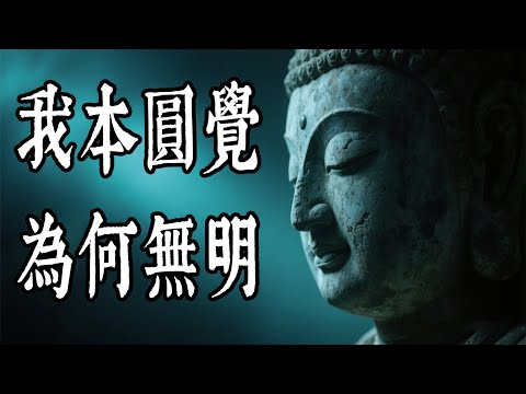 《圓覺經》深度講解：大乘根器開悟的祕密！# 圓覺經 #了義經 #開悟 #無明 #禪定
