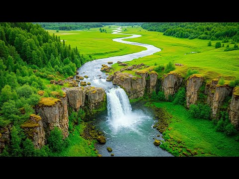 Healing Music for Anxiety Disorders, Fears, Depression, and Eliminating Negative Thoughts