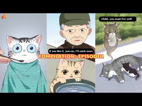 Compilation: These Cats Will Melt Your Heart… and Break It Too! - Ep. 1