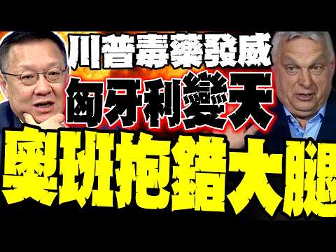 Trump's only ally collapses! Hungary experiences regime change after 16 years. Jie Wenji reveals:...