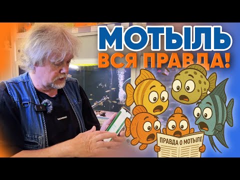 Аквариумные новости с Владимиром Ковалёвым (11.07.2025). Мотыль - ВСЯ ПРАВДА.