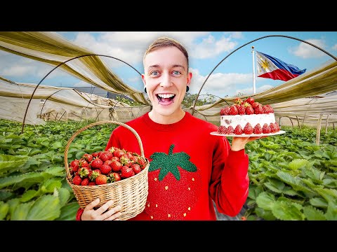 I Tried EVERYTHING in The Philippines Strawberry Capital! 🇵🇭