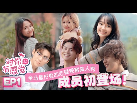 【FULL】【对你有感觉 2.0】EP1 三男三女直接同住 女生都喜欢看起来坏坏的！| 全马最疗愈的恋爱观察真人秀
