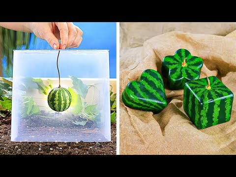 Transform your Garden with Easy trick! Important plant hacks #5MinuteBeat